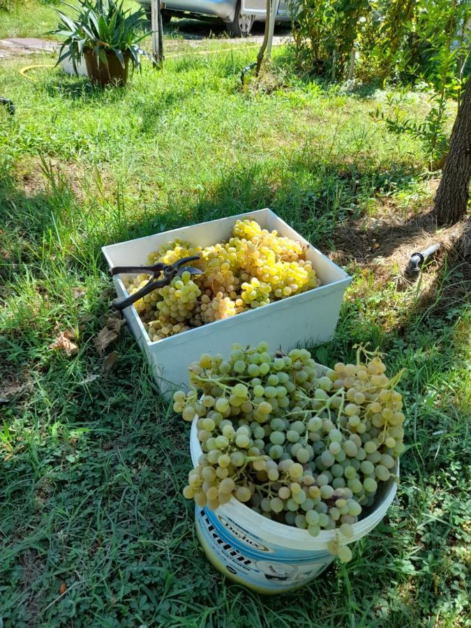 Chateau Sukaj Ljaknasi Esterno foto
